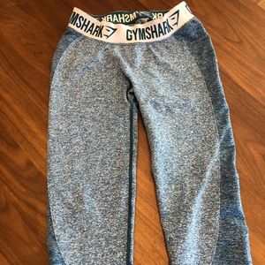 Gymshark Flex Legging in Deep Teal/Ice Blue | MED